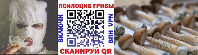 купить наркотик  Полярные Зори  Галлюциногенные грибы прущие грибы 